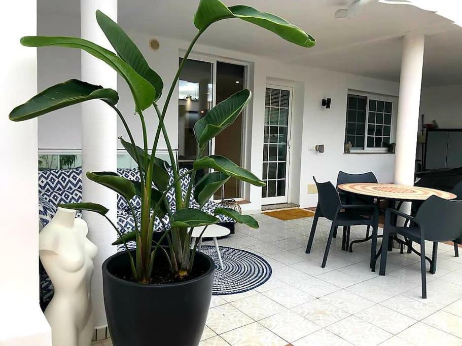 Pura Vida Strandnahes Ferienappartment In Bester Lage! Puerto de la Cruz  Buitenkant foto